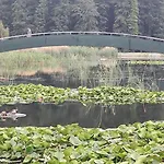 Marianna Wellness - -