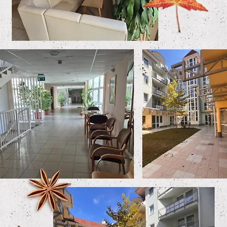 Marianna Wellness - -